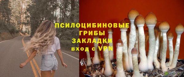 ALPHA-PVP Дмитриев