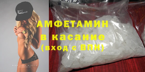 шишки Ельня